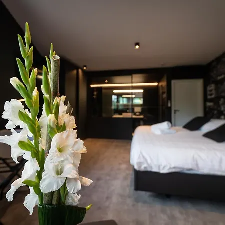 Les Thermes De Spa By La Cour De La Reine Hotel, Suites & Acces Gratuit Au Centre Thermal-3